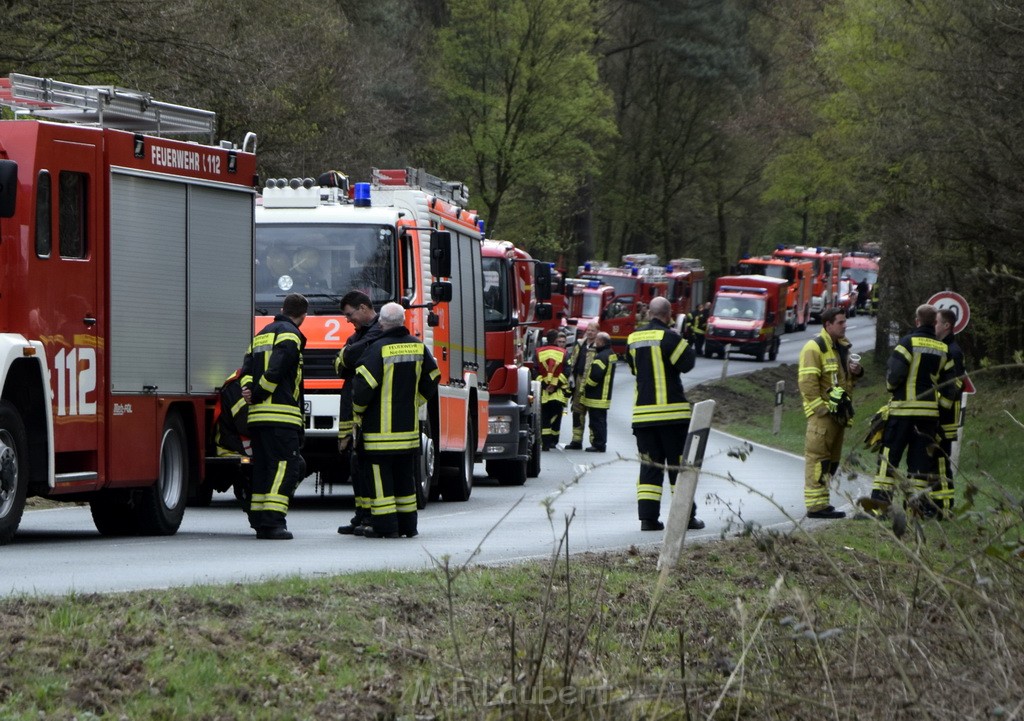 Waldbrand Wahner Heide Troisdorf Eisenweg P214.JPG - Miklos Laubert